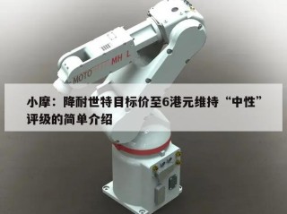 小摩：降耐世特目标价至6港元维持“中性”评级的简单介绍