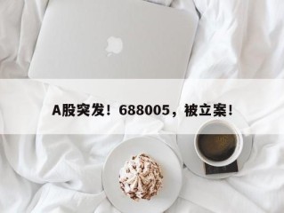 A股突发！688005，被立案！
