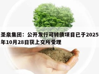 圣泉集团：公开发行可转债项目已于2025年10月28日获上交所受理