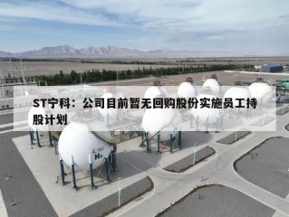 ST宁科：公司目前暂无回购股份实施员工持股计划