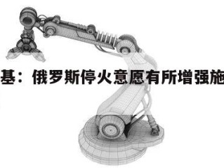 泽连斯基：俄罗斯停火意愿有所增强施压正在起作用